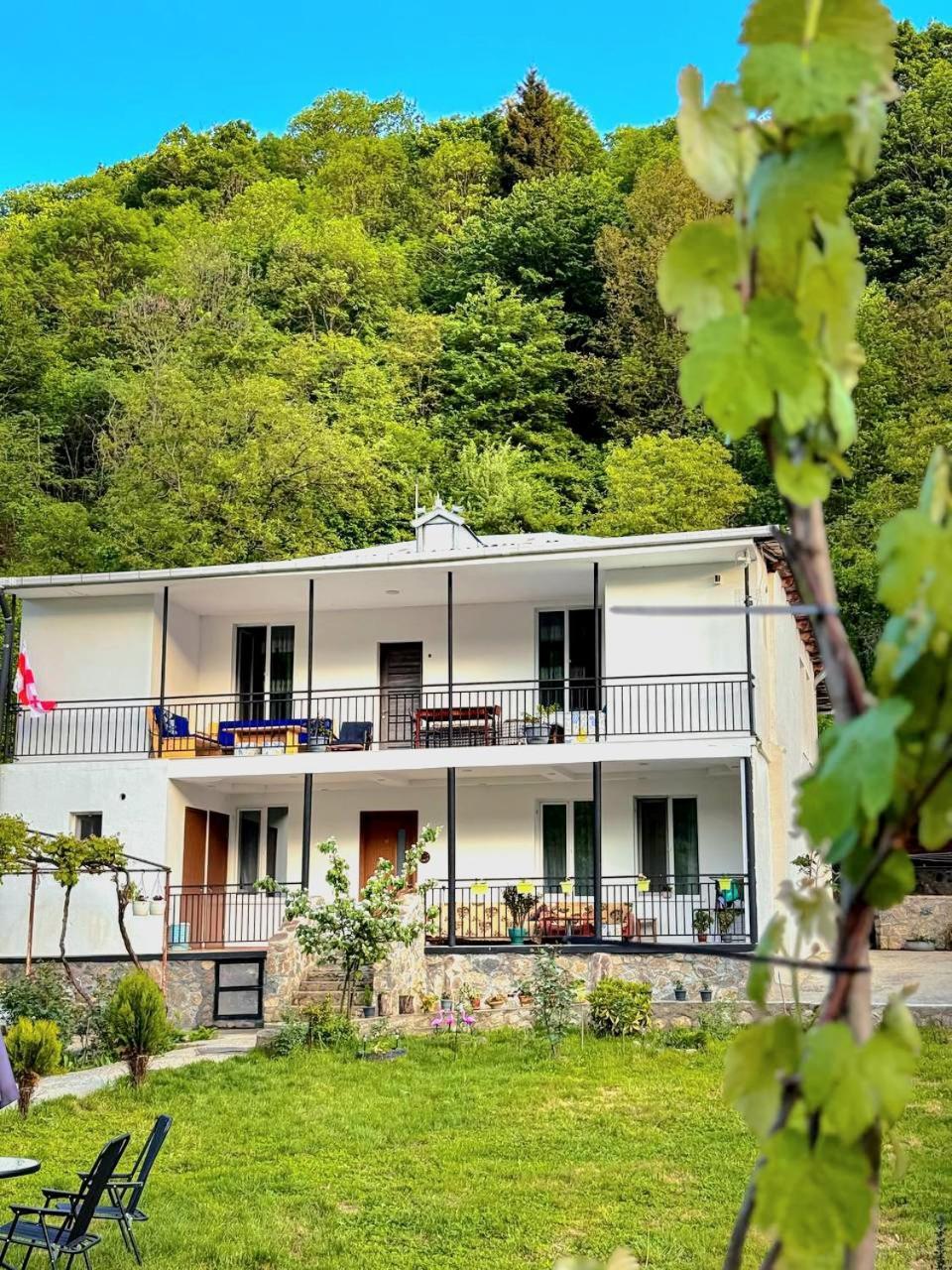 White House In Borjomi Hotel Buitenkant foto